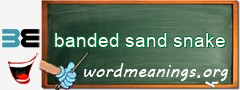 WordMeaning blackboard for banded sand snake